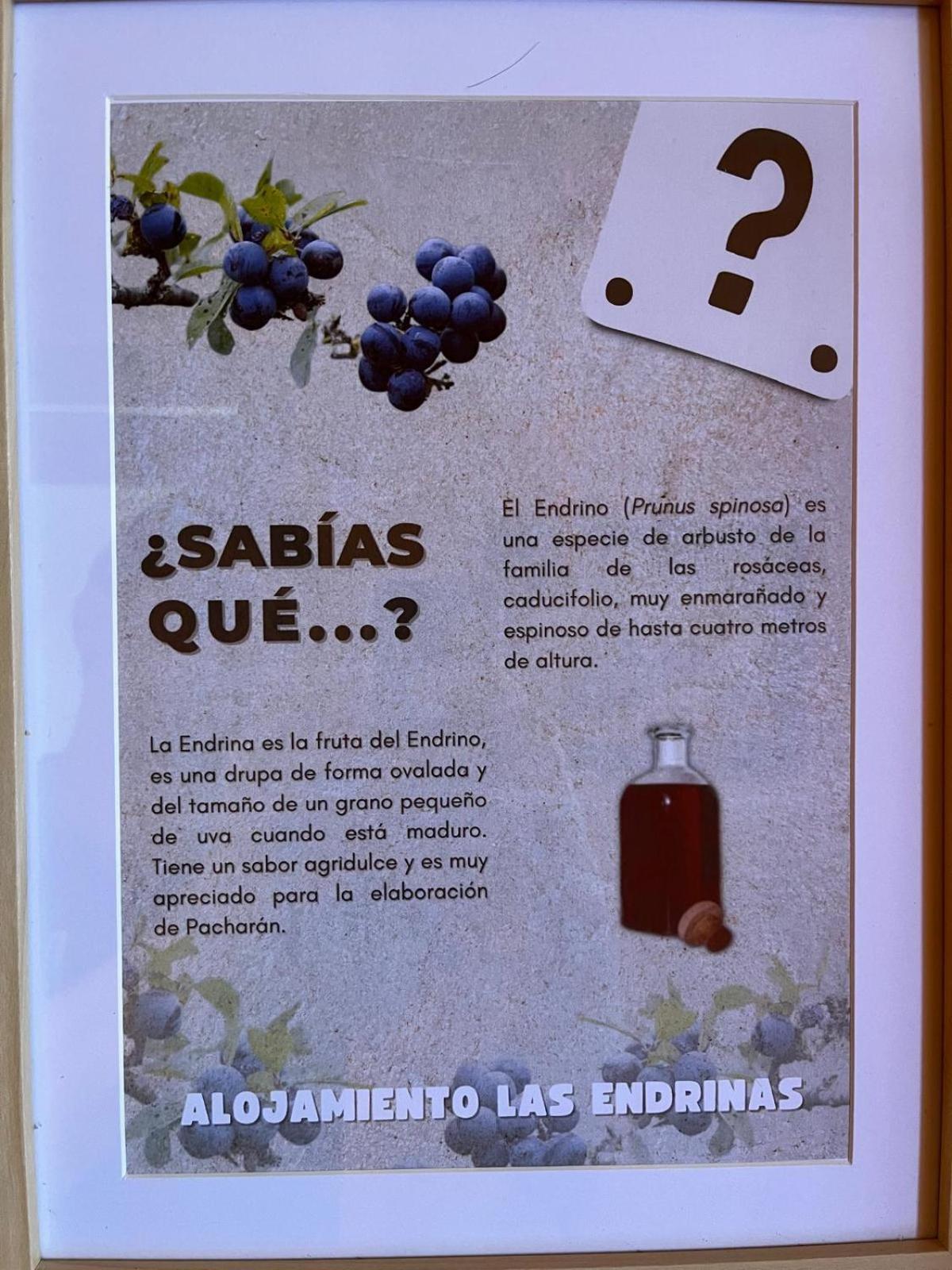Alojamiento Las Endrinas Ezcaray Exterior photo